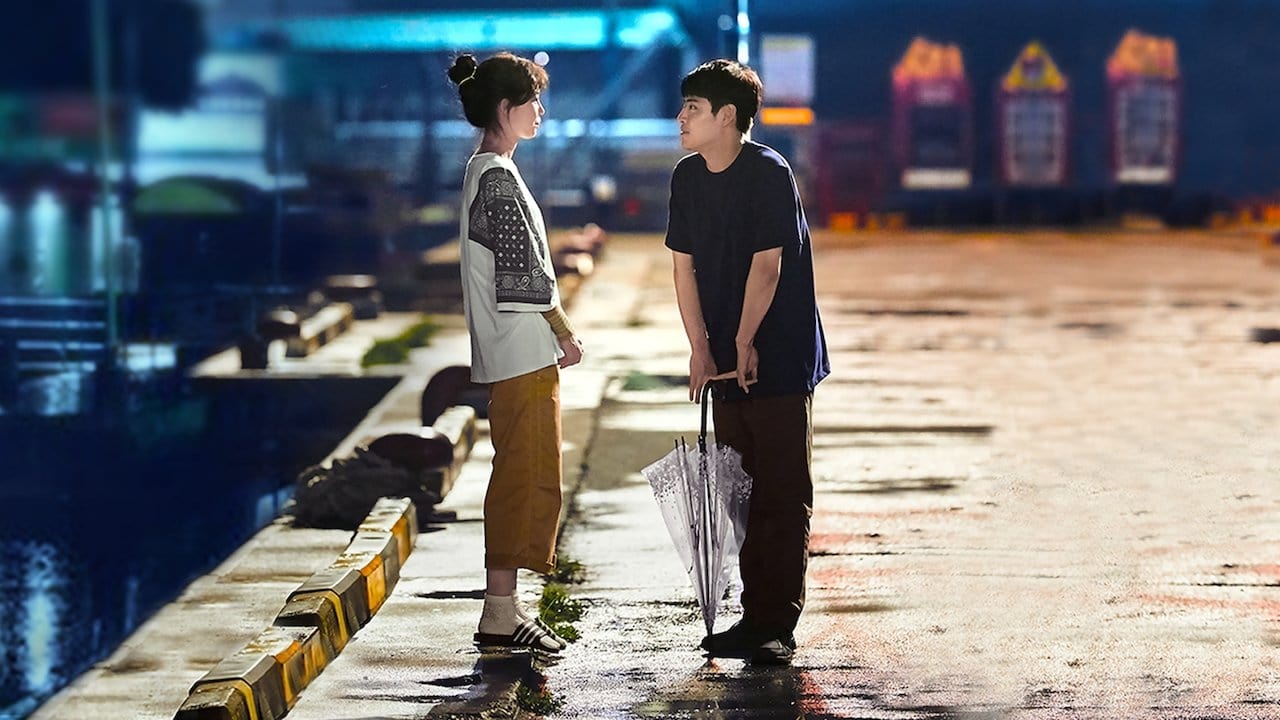 When the Camellia Blooms İzle